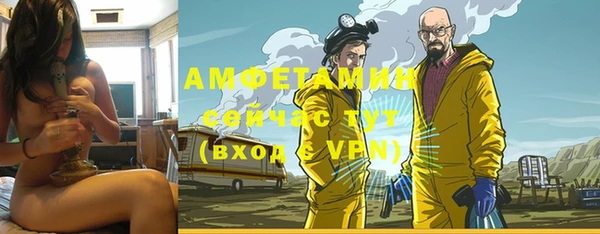 mdpv Вяземский